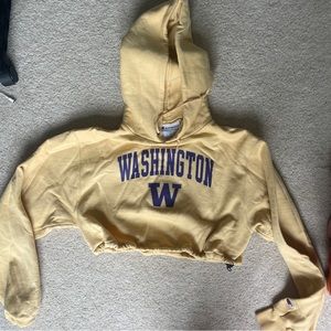 University of Washington Hoodie